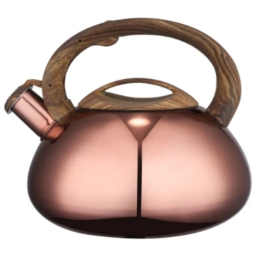 Small Stainless Steel Tea Kettle Induction Cooktop Tea Kettle Induction Cooktop