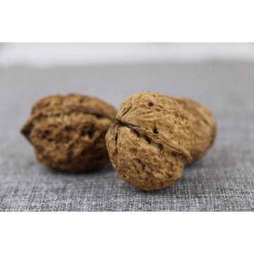 Natural Unshelled Walnuts Unwashed Bulk Pack