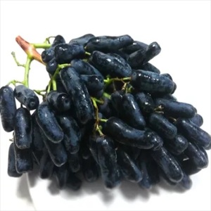 Purple Jade Tianzhu Seedless Grapes
