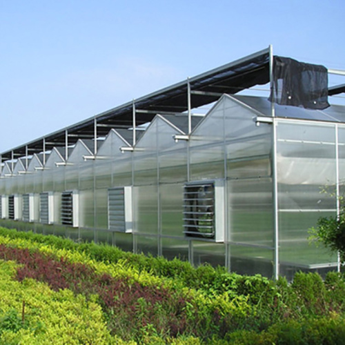 Velon PC Board Multi-Span Greenhouse Manufacturers and Velon PC Board Multi-Span Greenhouse Suppliers