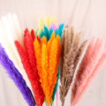 Natural Small Pampas Grass Dried Flowers Phragmites Artificial Plants Wedding Flower Bunch For Home Decor Fake Flowers Bulrush