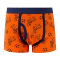 5pcs/set Kids Boys Underwear Cartoon Cotton Children's Shorts Panties Stripes Teenager