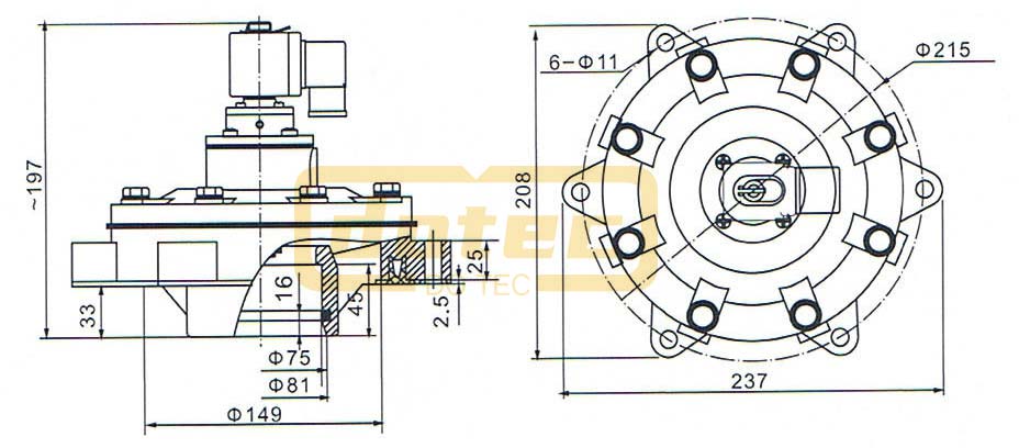 Dmf Y 62s