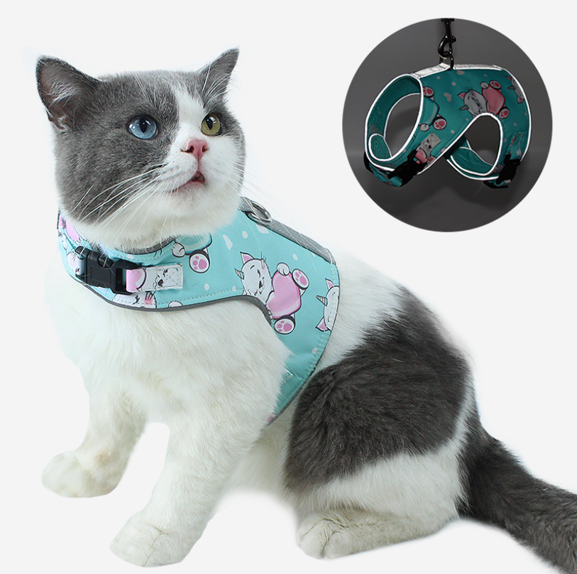Dog Harness And Leash Set Amazon