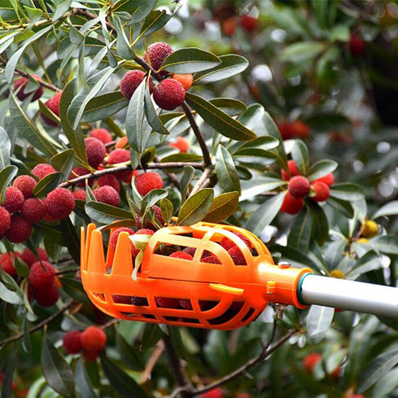 Portable Fruit Picker Head Plastic/Metal Fruits Catcher for Harvest Picking Apple Citrus Pear Peach Garden Fruit Picking Tools