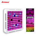 300W Full Spectrum LED phyto lamp Grow Lights 110V 220V 100 LEDs Diode Growing Lamps For Plants Veg Hydroponics Greenhouse Tent