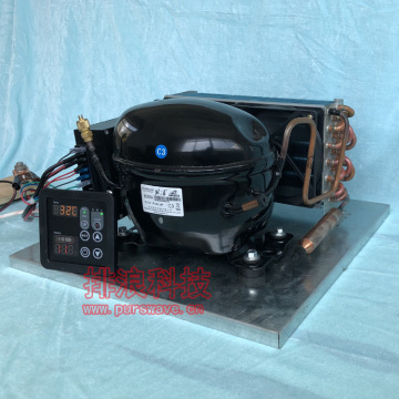BD75HC PURSWAVE DC Compressor Condensing Units for max. 500 liters Refrigerator 12V24V48V compressor condenser thermostate