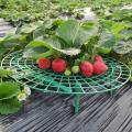 5PCS Plant Plastic Tool Strawberry Growing Circle Support Removable Easy Install Agriculture Improve Harvest soporte fresas #15