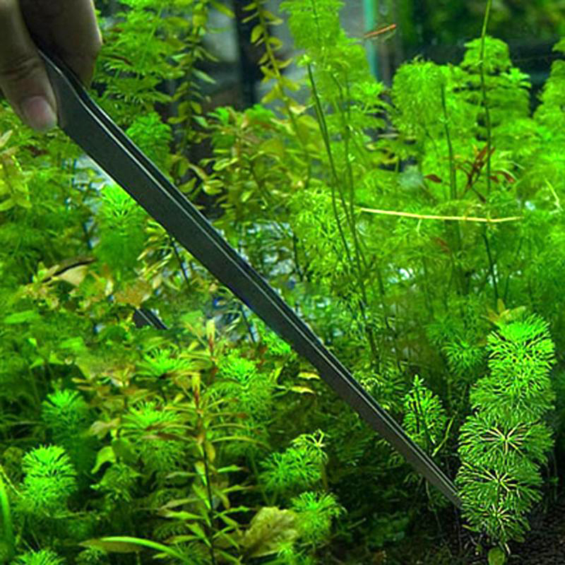 Aquarium Accessories Curved Aquarium Tweezers Aquarium Plants Shrimp Reef Tweezer Fish Tank Cleaning Tools Stainless Steel HOT