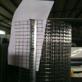 Galvanized & PVC Coated Welded Wire Mesh