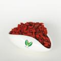 Wolfberry fruits Goji Goqi Berries Lycium barbarum fruits