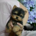 Realistic Yorkshire Terrier Simulation Toy Puppy Lifelike Stuffed Companion Toy Pet Simulation Dog Toy