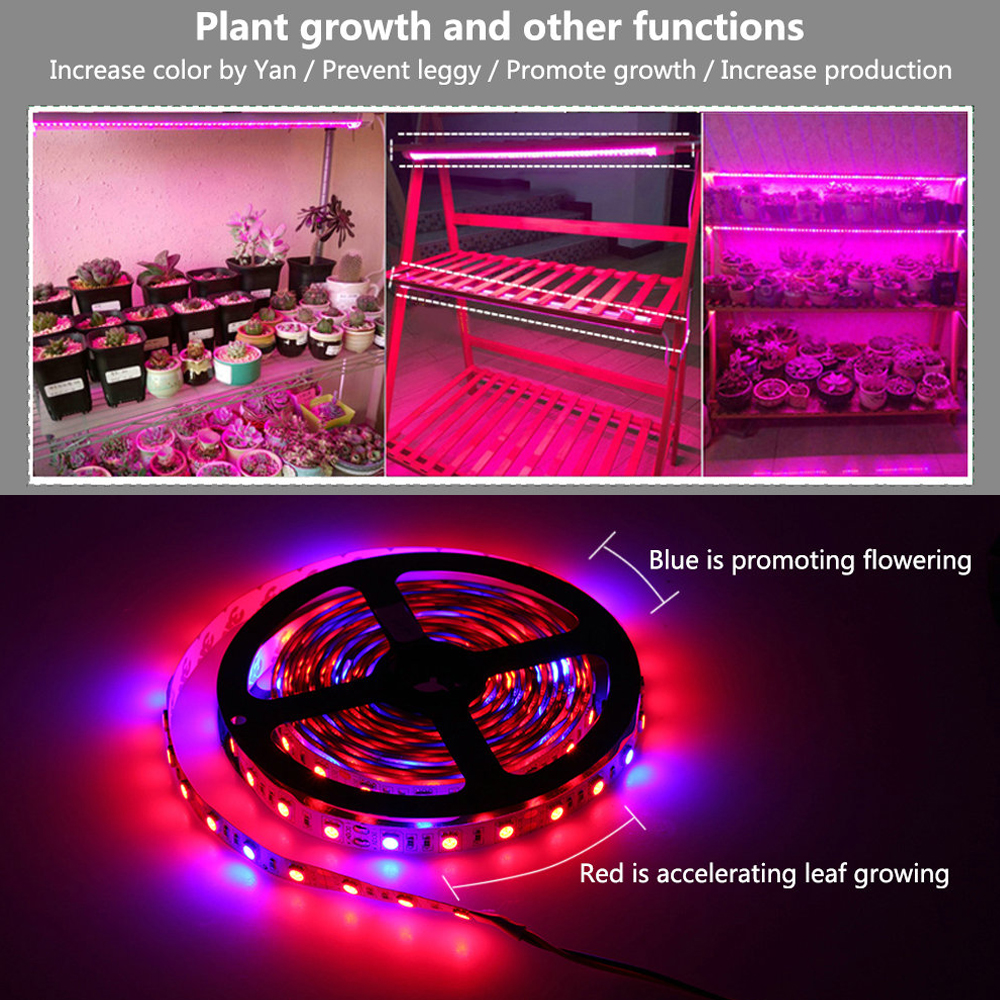 LED Grow Lights DC12V Red Blue Growing Strip 5050 Phyto Lamps Full Spectrum for Greenhouse Hydroponic Plant 5M/Lot