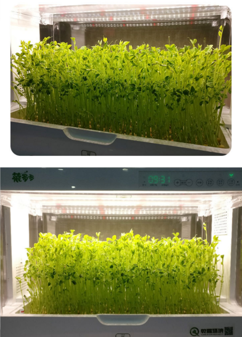 Hydroponic System1