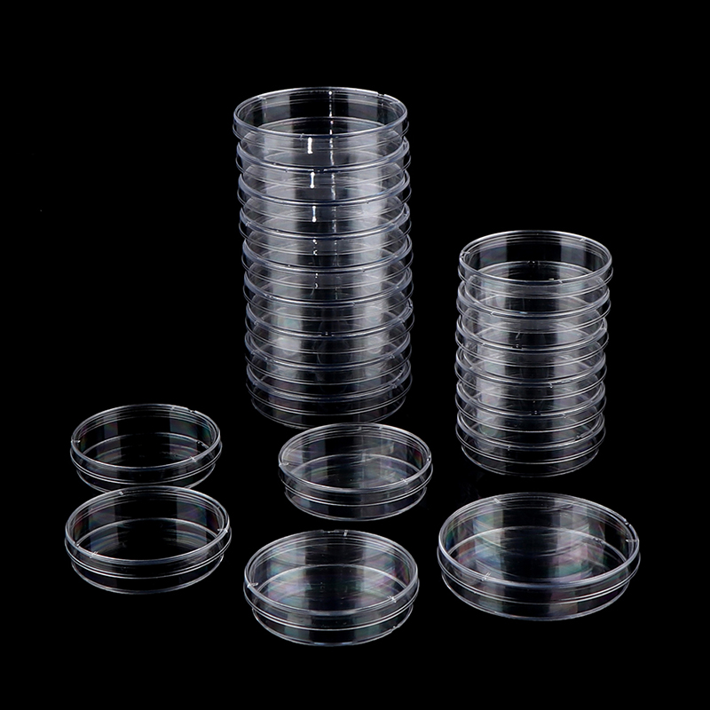 10Pcs 55mm Polystyrene Sterile Petri Dishes Bacteria Culture Dish for Laboratory Medical Biological Scientific Lab Supplies