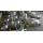 Alloy Steel Forged RTJ Flanges