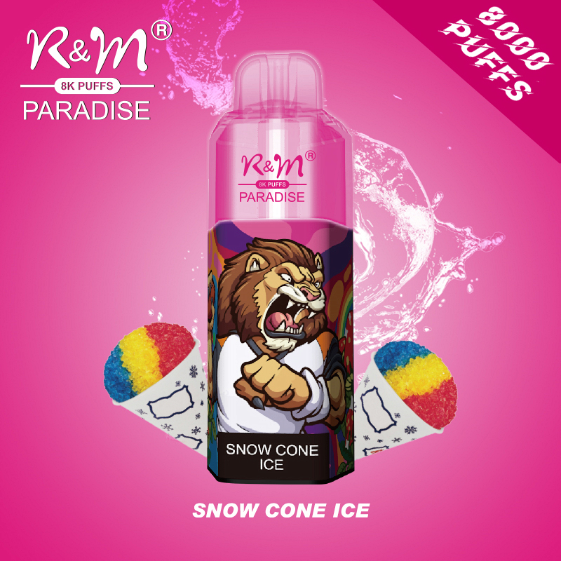 R M Paradise 8000 Puffs Hot Selling Disposable