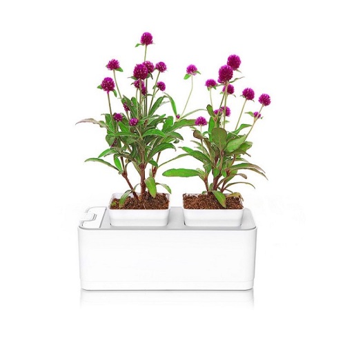 Indoor Mocle Flower Pot Grow System Manufacturers and Indoor Mocle Flower Pot Grow System Suppliers