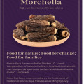 Morchella Dried Morel Mushrooms come from China’s fresh top delicacies to improve health