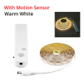 Motion Sensor