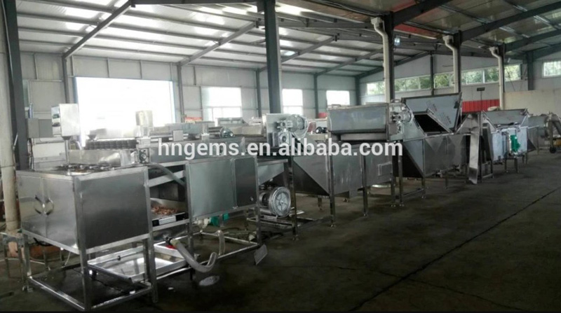 egg processing line