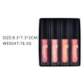 4PCS Matte Lip Gloss Set Lip Glaze Lipstick Kit For Ladies Gifts Waterproof Makeup Products Wholesale