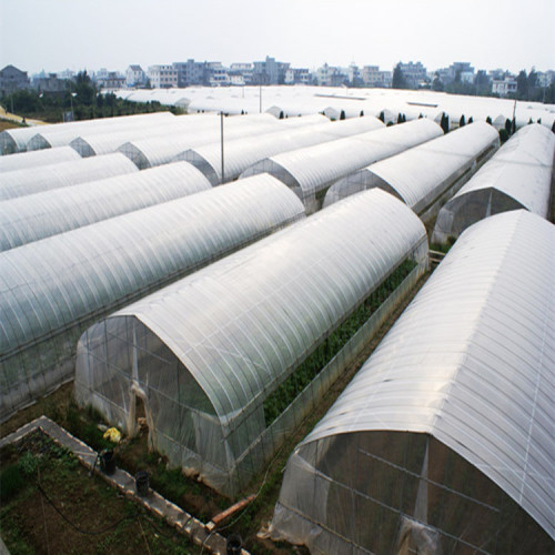 Single Span Plastic Film Greenhouse For Plant Manufacturers and Single Span Plastic Film Greenhouse For Plant Suppliers