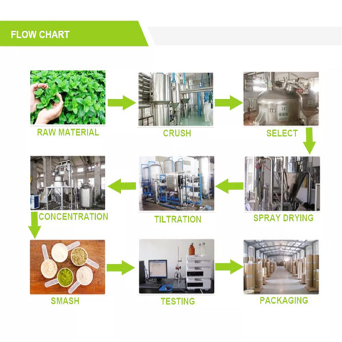 ISO Certified Polygonum Cuspidatum Extract Powder for Sale, Offer ISO Certified Polygonum Cuspidatum Extract Powder