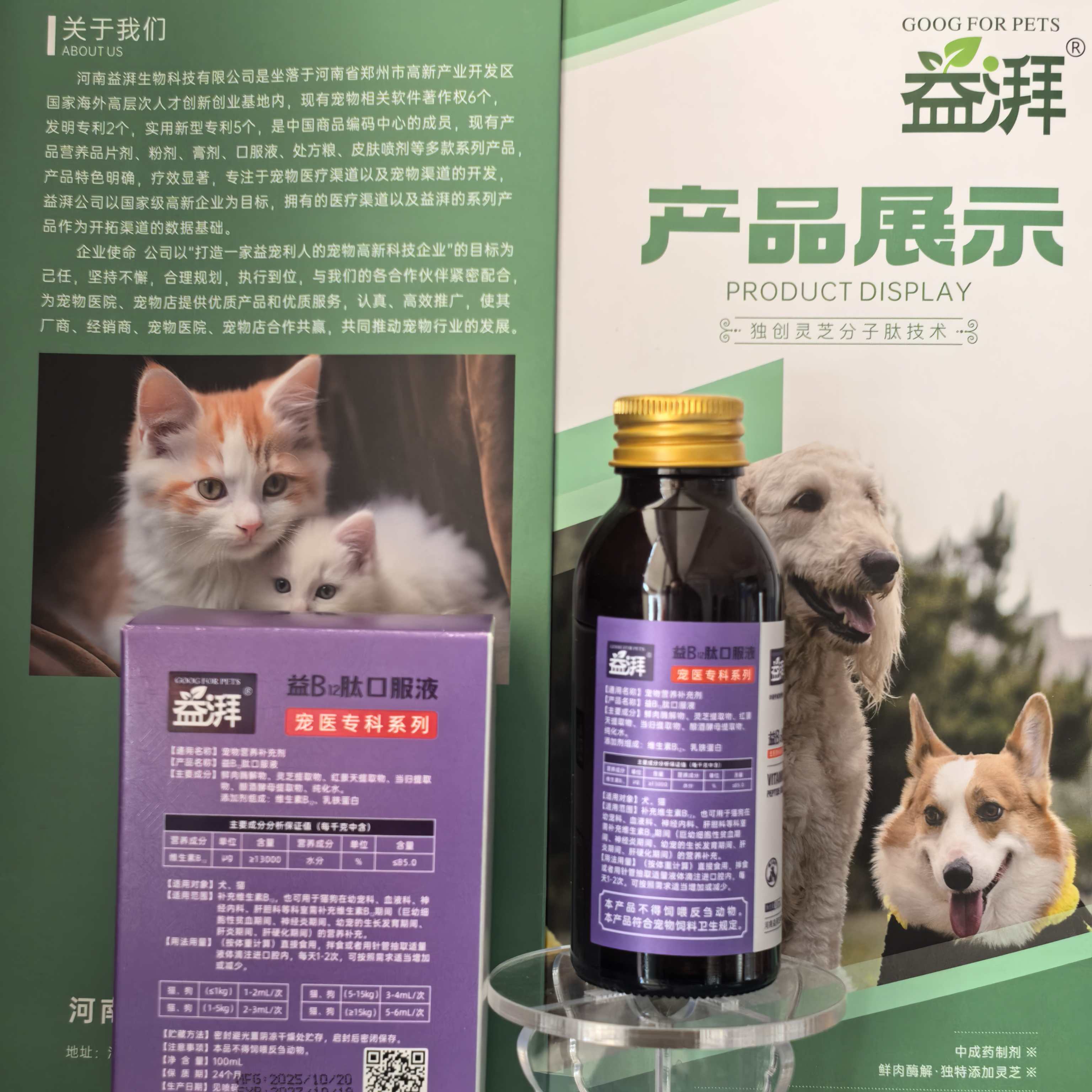 Dog Exercise Intolerance Fatigue Supplement Vitamin B12 Athletic