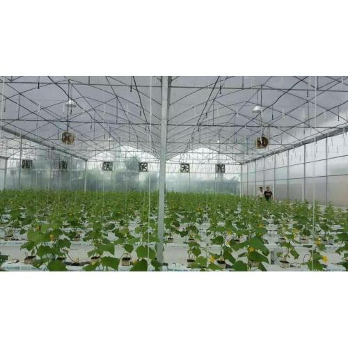 Rock Wool Hydroponics Planting system for Greenhouse Manufacturers and Rock Wool Hydroponics Planting system for Greenhouse Suppliers