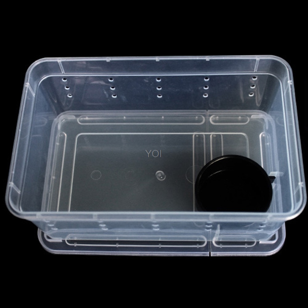 Terrarium for reptiles Transparent Plastic Box Insect Reptile Transport Breeding Live Food Feeding Box