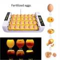 Egg Incubator Full Automatic Incubator 24PCS Duck Bird Egg Small Poultry Incubator Digital Chicken Breeding Box