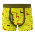 5pcs/set Kids Boys Underwear Cartoon Cotton Children's Shorts Panties Stripes Teenager