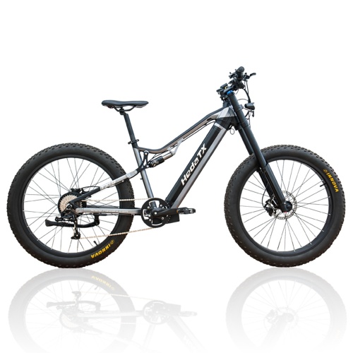 Electric Fat Tire Bike with Battery Manufacturer Electric Fat Tire Bike with Battery from China