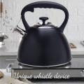 Stainless Steel Tea Kettle With Black Coating