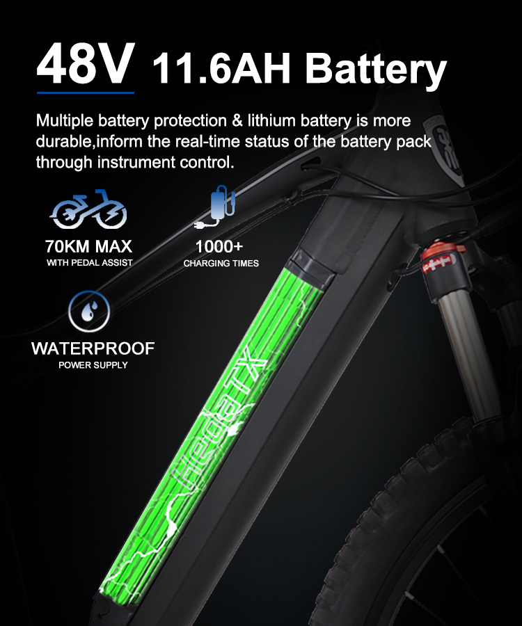 Electric Mountain Bike