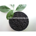 LEONARDITE POWDER HUMIC ACID