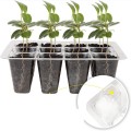 12 Hole Plant Seeds Crop Protector Seedling Tray Seedling For Nursery Seedling Garden Tray Pots For Plants Crop Guard