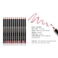 12 Color Lipstick Pen Matte Long-lasting Smooth Lip Liner Lipstick Pen Long Lasting Waterproof Pigments Lip Makeup Tool Cosmetic