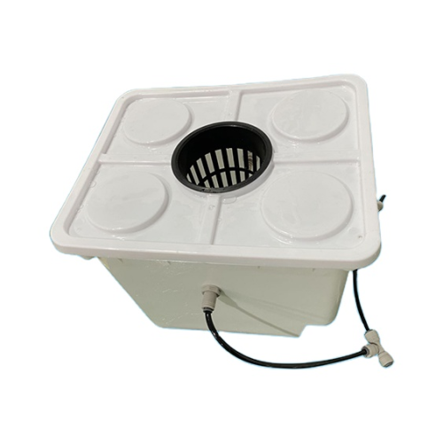 Hydroponics System tomato Dutch Bucket System Planting Manufacturers and Hydroponics System tomato Dutch Bucket System Planting Suppliers