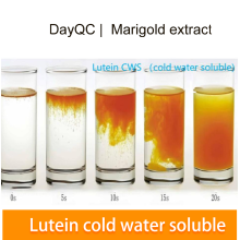 Marigold Extract Lutein CWS