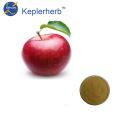 https://www.bossgoo.com/product-detail/apple-juice-powder-fruit-60401231.html