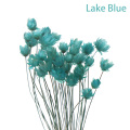 Lake Blue