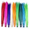 10PCS Ringneck Pheasant Tail Feathers 50-55CM Long DIY Cosplay Carnival Party Decoration Accessory Crafts Plume