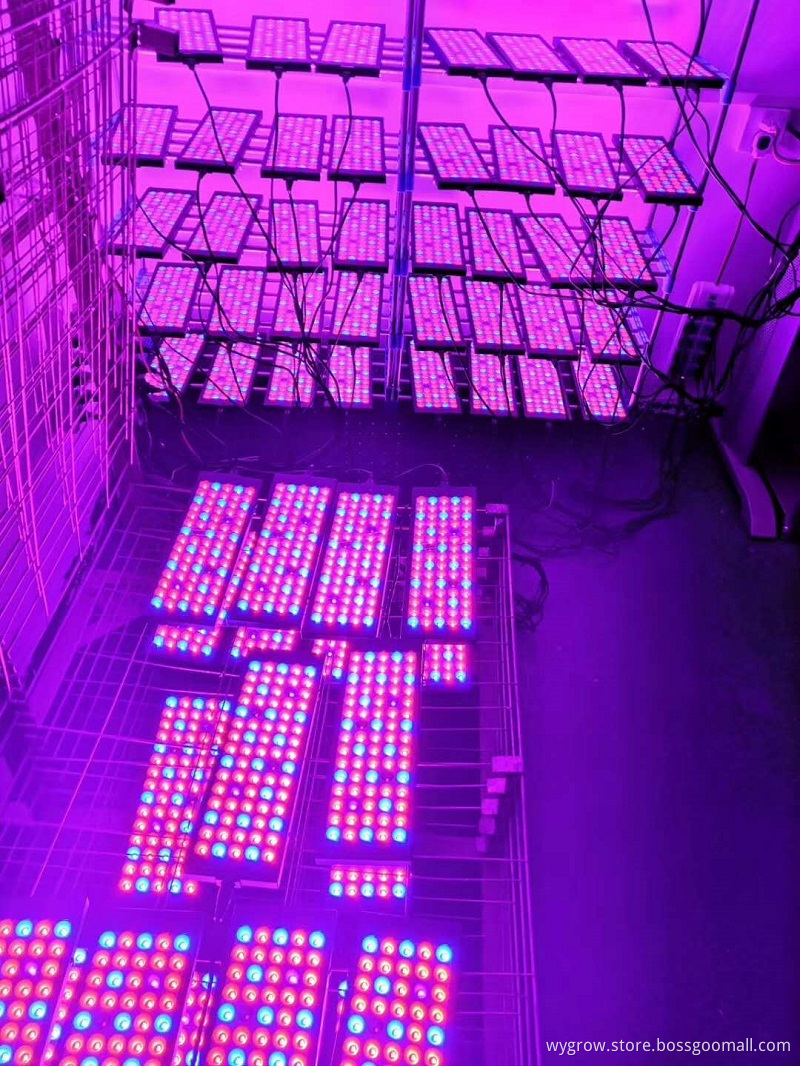 Led grow lights for indoor plants