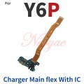 Charger Main With IC