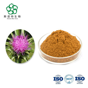 Milk Thistle Extract Silymarin 80%