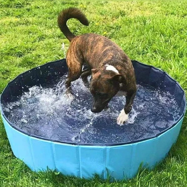 Wholesale Foldable Dog Pet Pool Collapsable Bath Pool 6