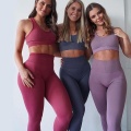 2PCS Seamless Fitness Yoga Sets High Waist Gym Tights Leggings+Bra Suit pants Workout Sport Running Sportswear cloths Legging