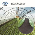 Leonardite humic acid with drying small humidity